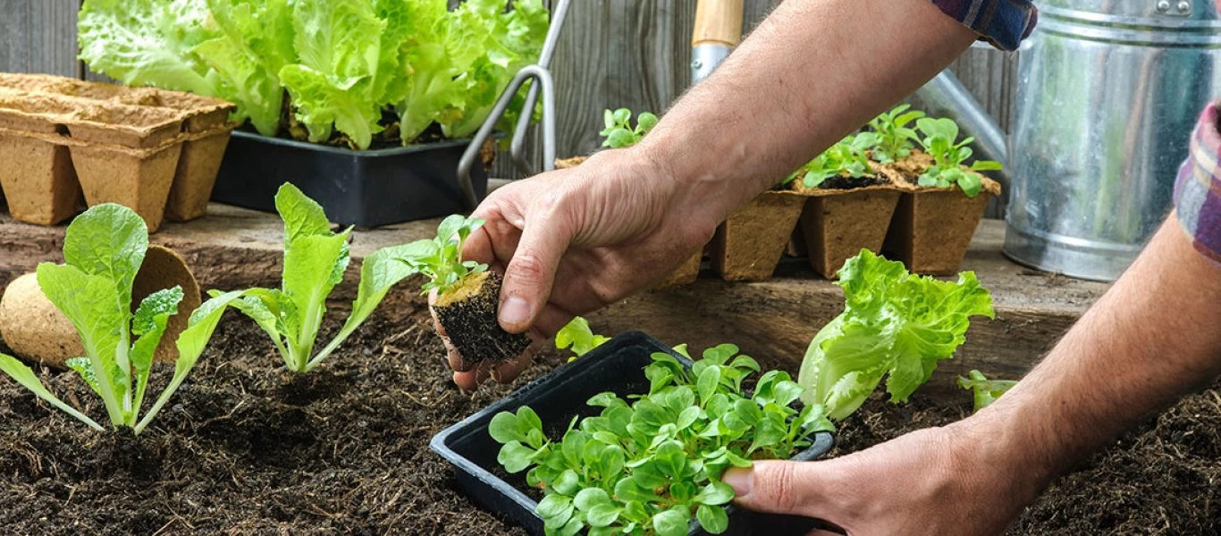Ποιες δραστηριότητες υποκαθιστούν τα αντικαταθλιπτικά;